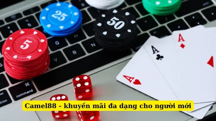 Camel88 - khuyến mãi đa dạng cho người mới